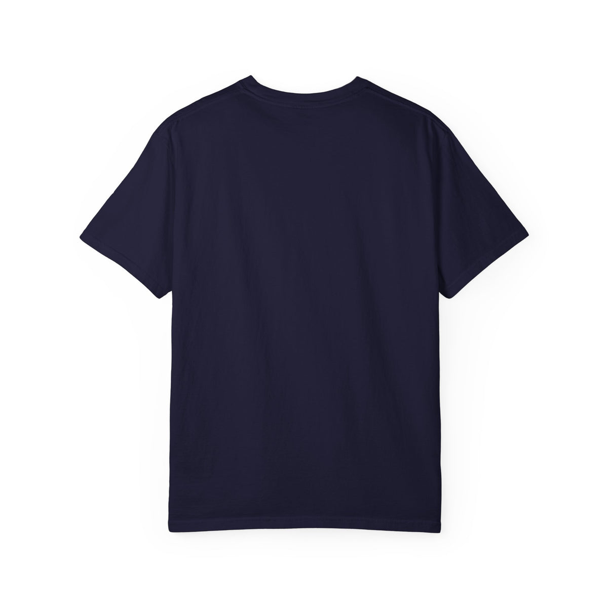 Ironing Board Overpass T-Shirt | Household Zoning